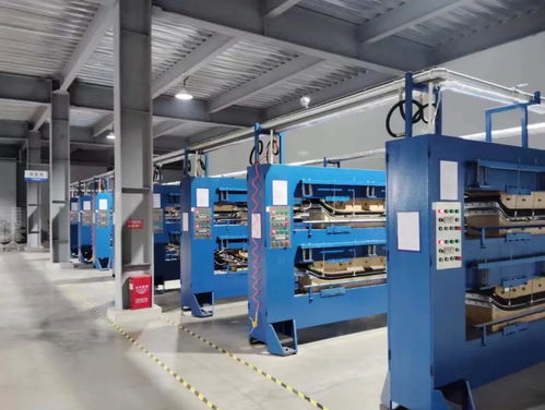 湖北翔馳運動用品 加快培育新質(zhì)生產(chǎn)力 賦能企業(yè)創(chuàng)新發(fā)展